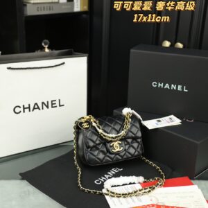 Chanel-Bag-007
