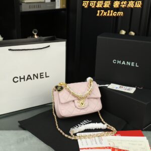 Chanel-Bag-009