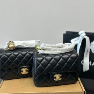 Chanel-Bag-040