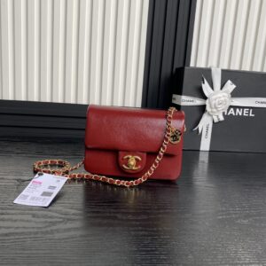 Chanel-Bag-079