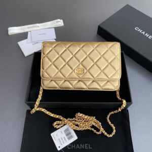 Chanel-Bag-084