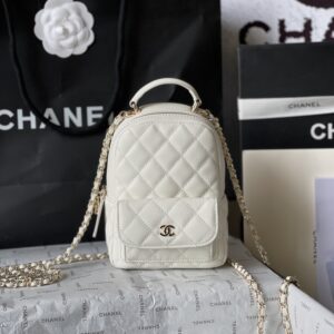 Chanel-Bag-102