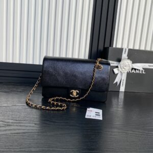 Chanel-Bag-145